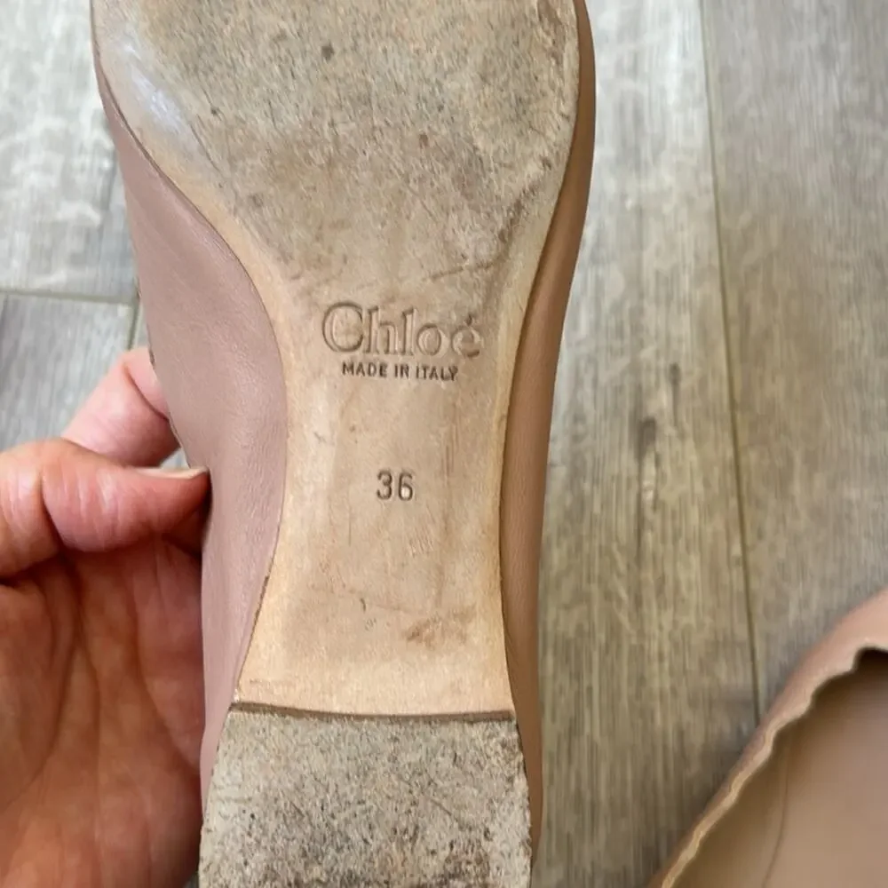 Chloé Lauren Scalloped Ballet Flats Nude Leather EU 36 Dust Bag - Picture 9 of 10